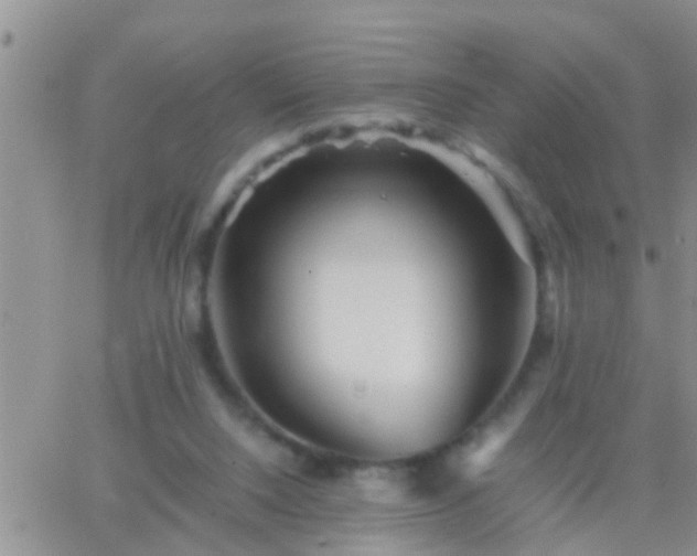 X0000065250064200602242100