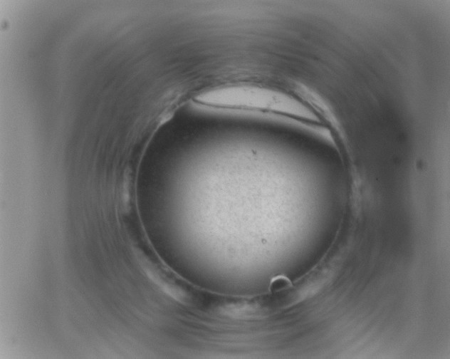 X0000065250065200602242100