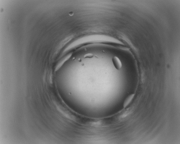 X0000065250068200602242100