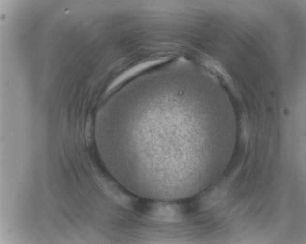 X0000065250073200602242100