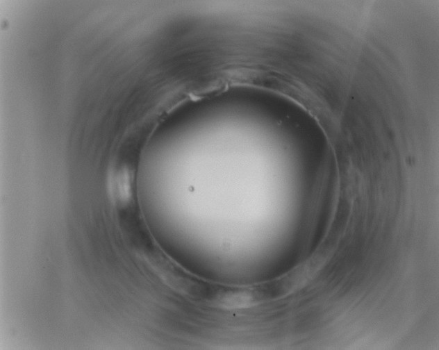 X0000065250075200602242100