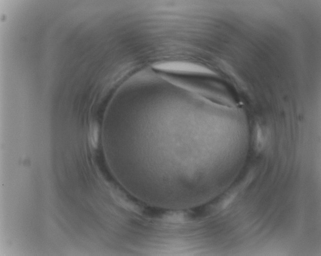 X0000065250076200602242100