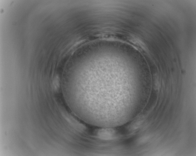 X0000065250077200602242100