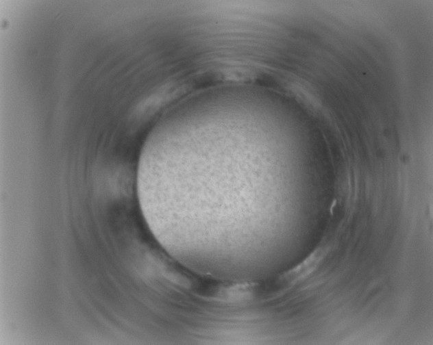 X0000065250078200602242100