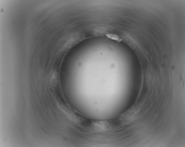 X0000065250079200602242100