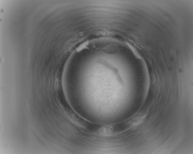 X0000065250080200602242100