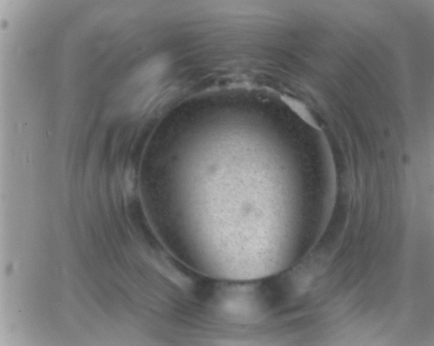 X0000065250081200602242100