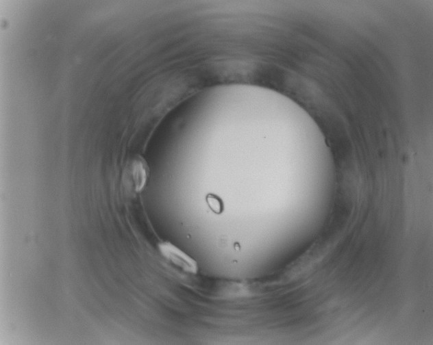 X0000065250083200602242100