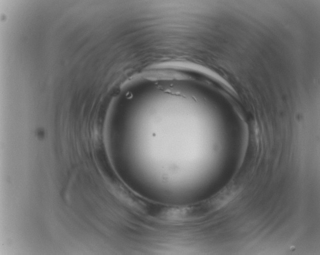 X0000065250084200602242100