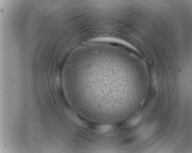 X0000065250085200602242100