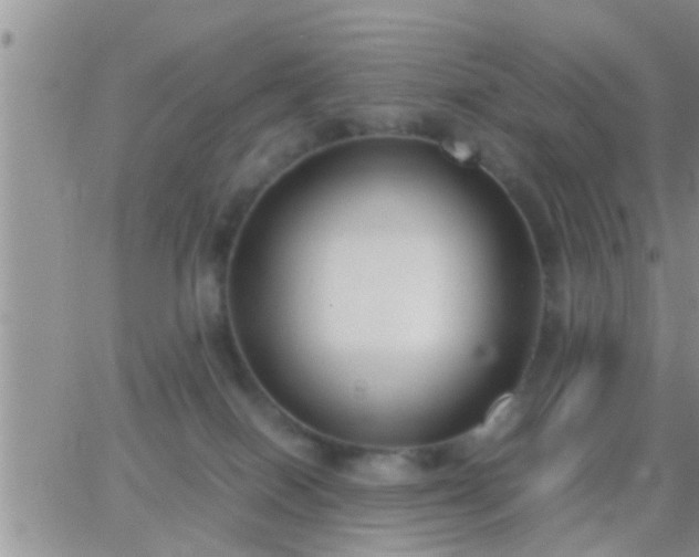 X0000065250086200602242100