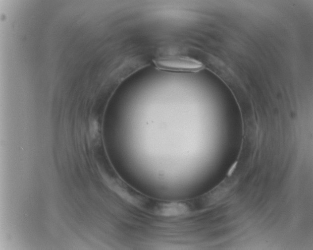 X0000065250087200602242100