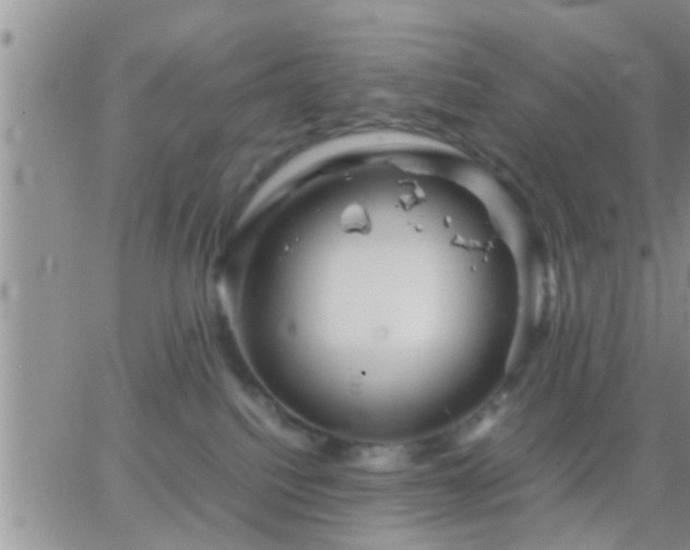 X0000065250088200602242100