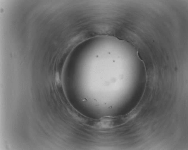 X0000065250089200602242100