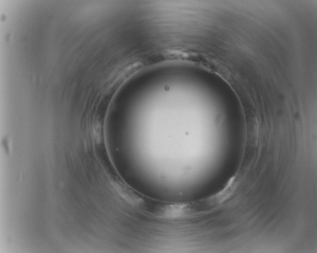 X0000065250090200602242100