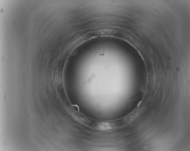 X0000065250091200602242100