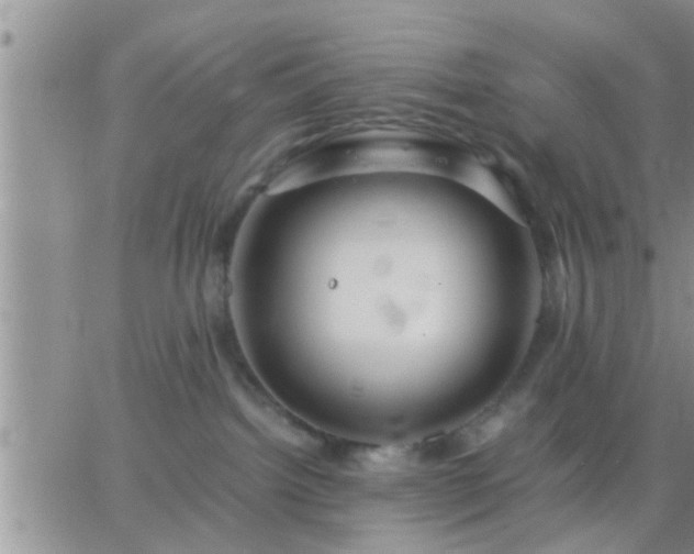 X0000065250092200602242100