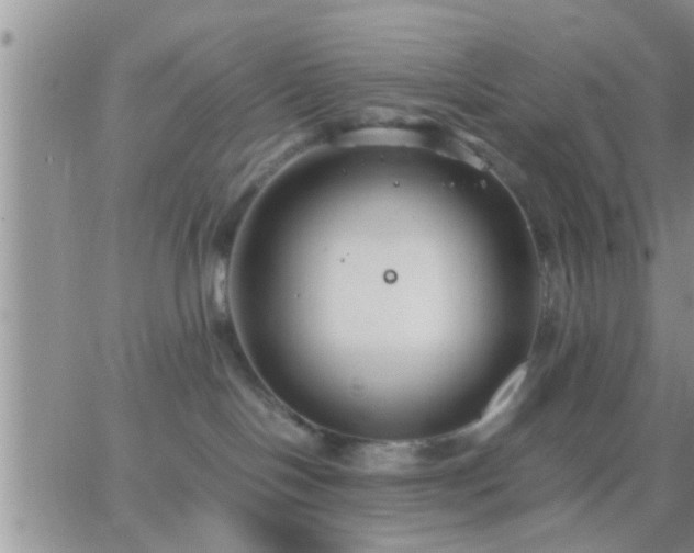 X0000065250094200602242100