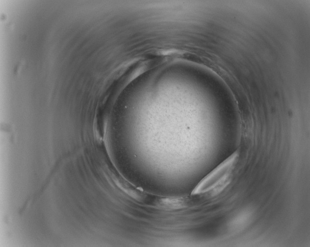 X0000065250095200602242100