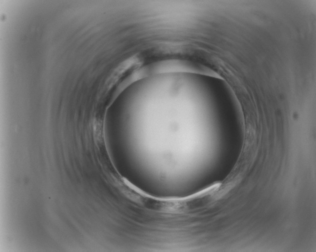 X0000065250096200602242100