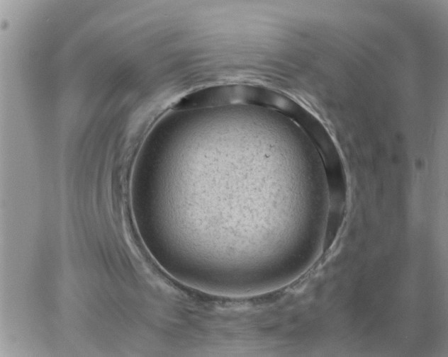 X0000065250097200602242100