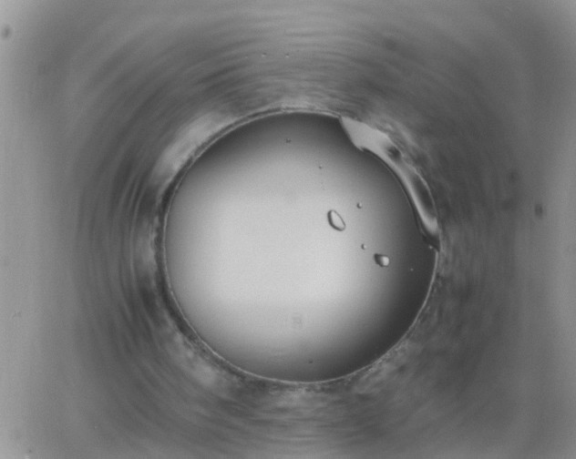 X0000065250098200602242100