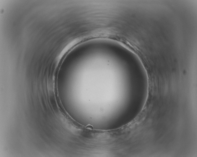 X0000065250100200602242100