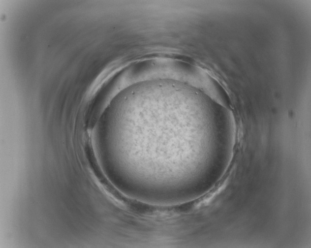 X0000065250101200602242100