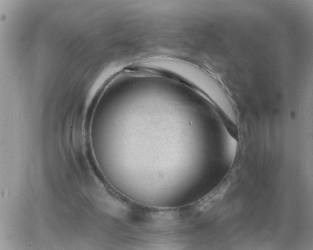 X0000065250102200602242100