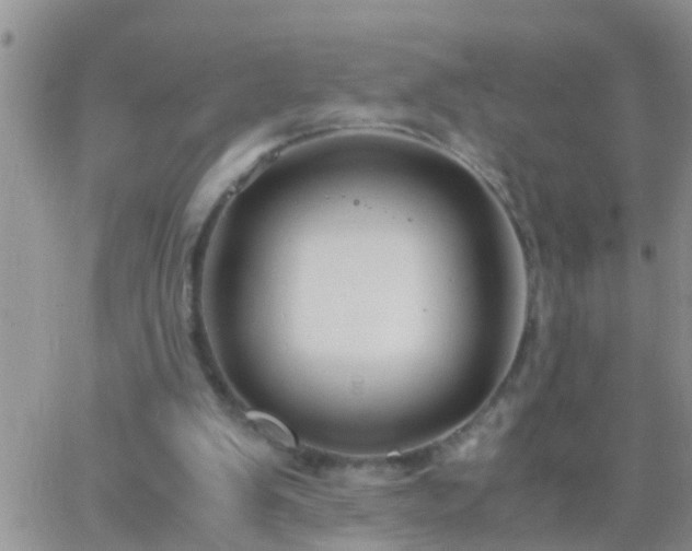 X0000065250103200602242100