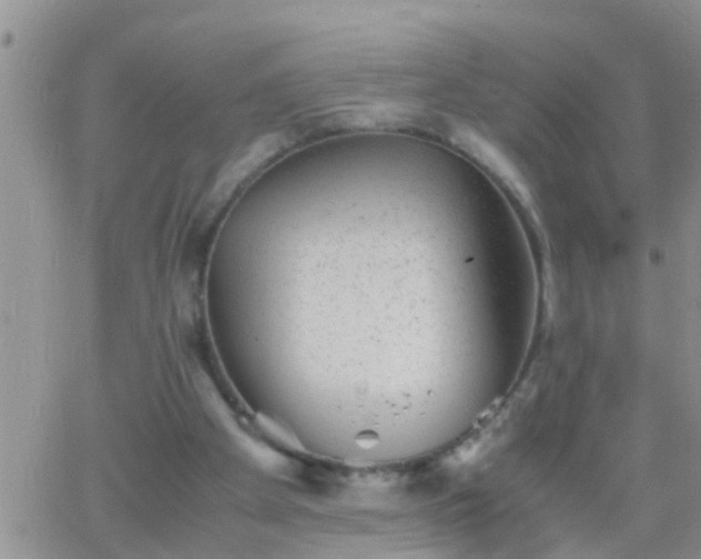 X0000065250105200602242059