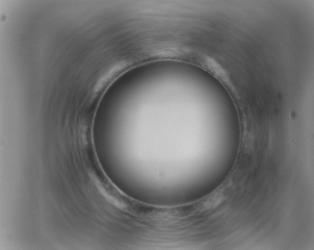 X0000065250106200602242059