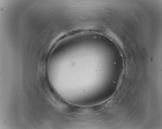 X0000065250107200602242059