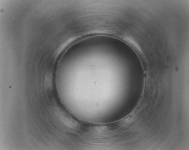 X0000065250108200602242059