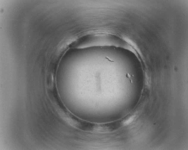 X0000065250109200602242059