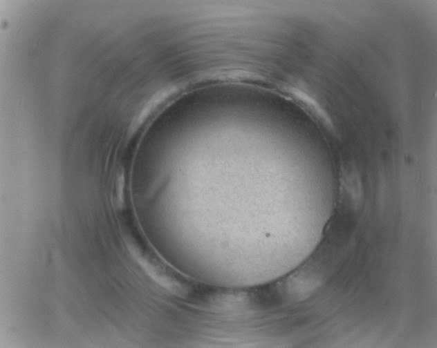 X0000065250110200602242059