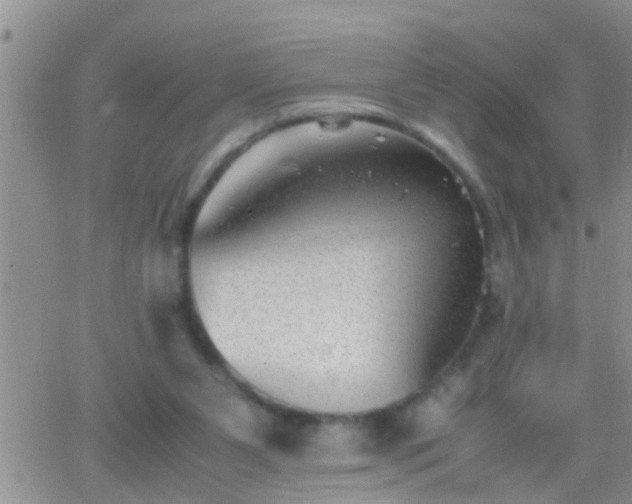 X0000065250111200602242059