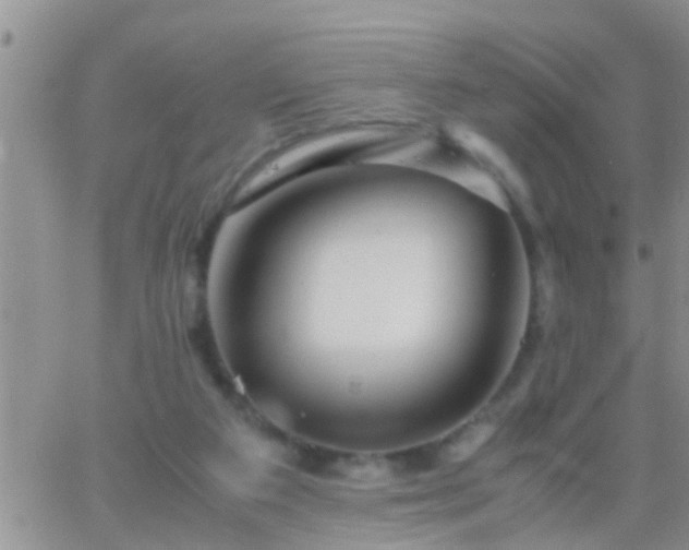 X0000065250113200602242059