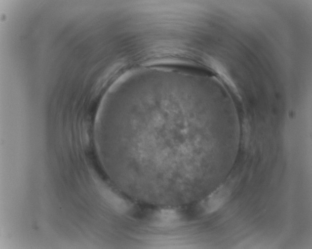 X0000065250114200602242059