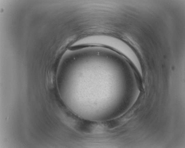 X0000065250115200602242059