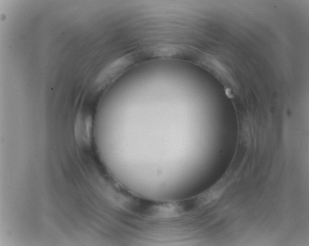 X0000065250118200602242059