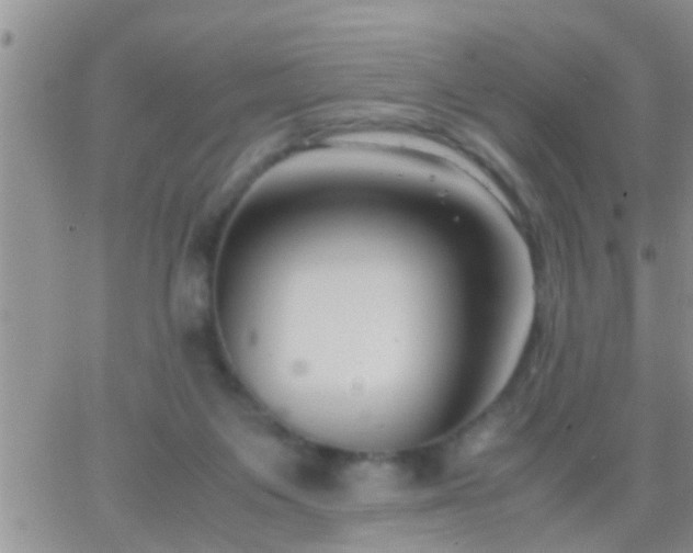 X0000065250119200602242059