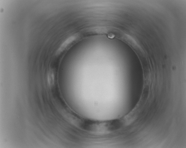 X0000065250120200602242059