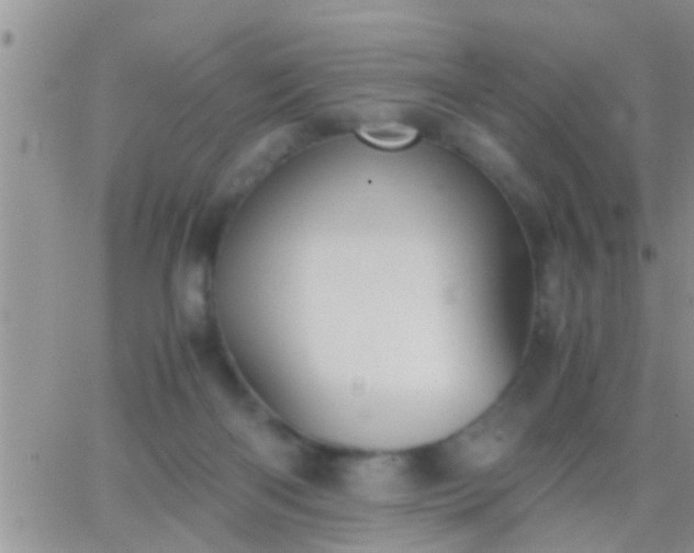 X0000065250122200602242059