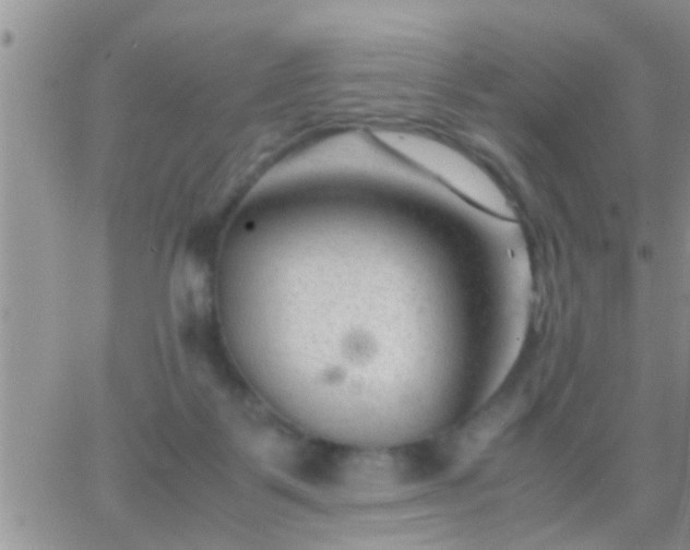 X0000065250123200602242059