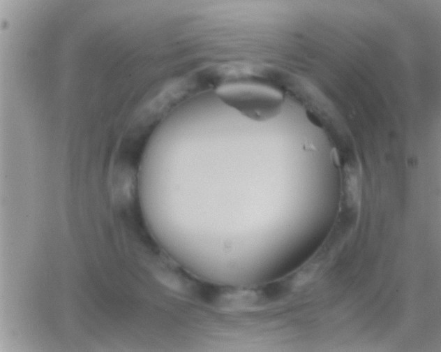 X0000065250125200602242059