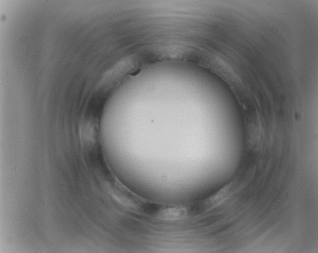 X0000065250126200602242059