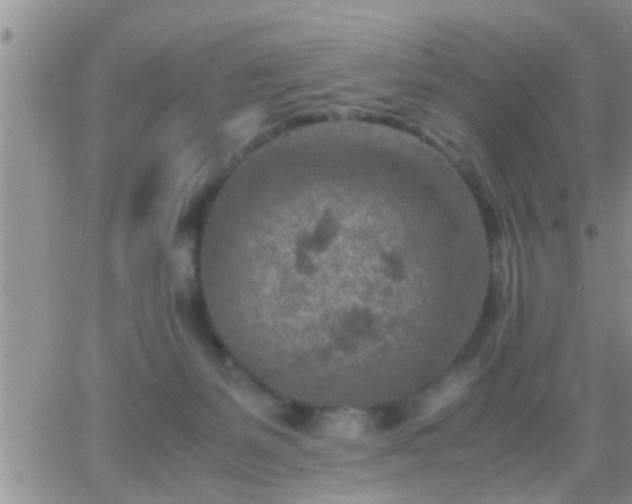 X0000065250127200602242059