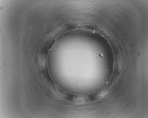 X0000065250129200602242059