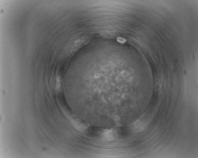 X0000065250130200602242059